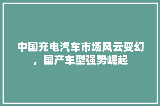 中国充电汽车市场风云变幻，国产车型强势崛起
