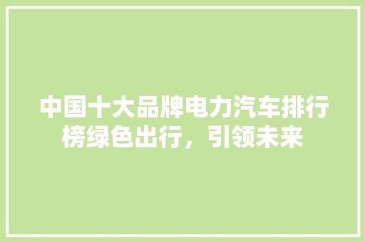 中国十大品牌电力汽车排行榜绿色出行，引领未来