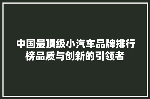 中国最顶级小汽车品牌排行榜品质与创新的引领者