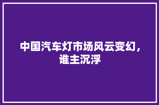 中国汽车灯市场风云变幻，谁主沉浮