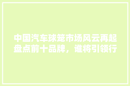 中国汽车球笼市场风云再起盘点前十品牌，谁将引领行业未来