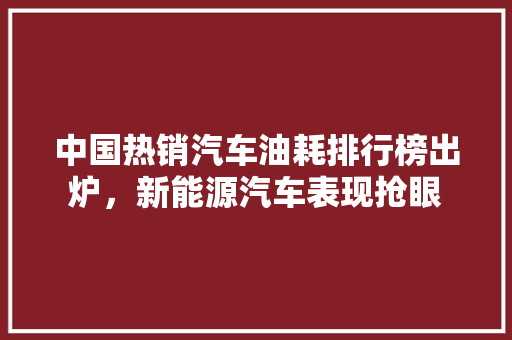 中国热销汽车油耗排行榜出炉，新能源汽车表现抢眼
