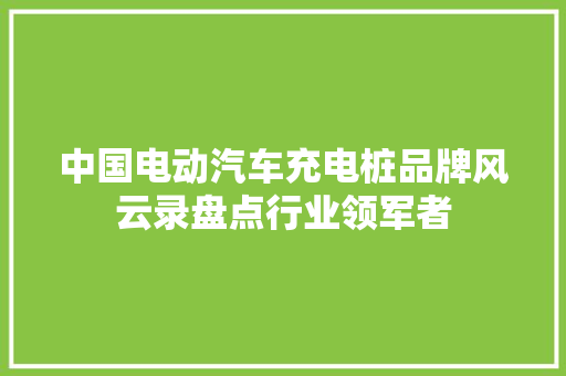 中国电动汽车充电桩品牌风云录盘点行业领军者