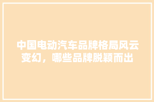中国电动汽车品牌格局风云变幻，哪些品牌脱颖而出
