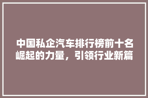 中国私企汽车排行榜前十名崛起的力量，引领行业新篇章
