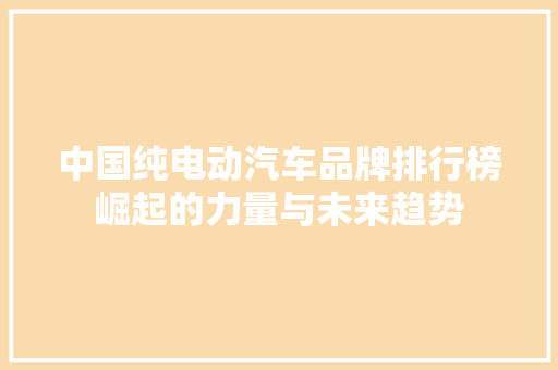 中国纯电动汽车品牌排行榜崛起的力量与未来趋势