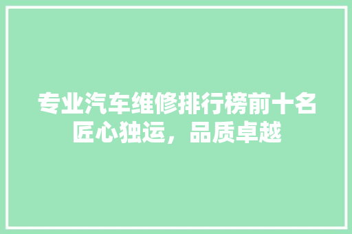 专业汽车维修排行榜前十名匠心独运，品质卓越