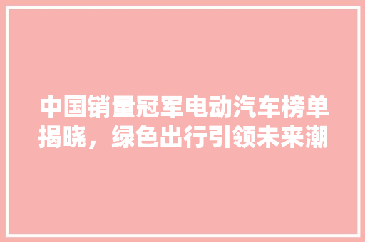 中国销量冠军电动汽车榜单揭晓，绿色出行引领未来潮流