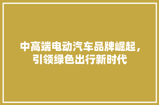 中高端电动汽车品牌崛起，引领绿色出行新时代