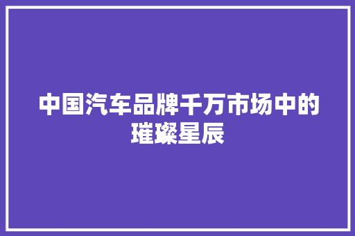 中国汽车品牌千万市场中的璀璨星辰