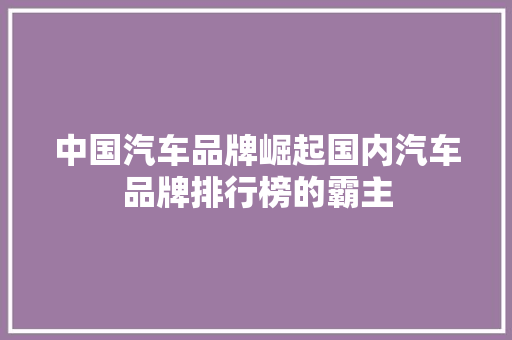 中国汽车品牌崛起国内汽车品牌排行榜的霸主
