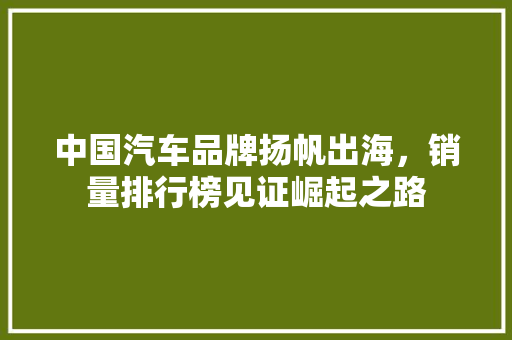 中国汽车品牌扬帆出海，销量排行榜见证崛起之路