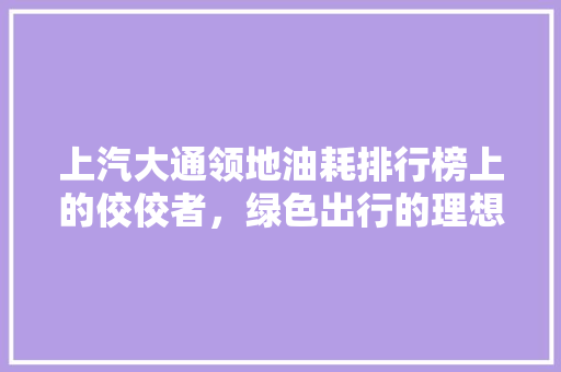上汽大通领地油耗排行榜上的佼佼者，绿色出行的理想选择