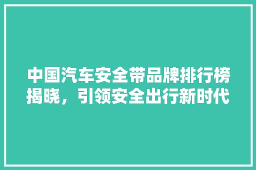 中国汽车安全带品牌排行榜揭晓，引领安全出行新时代