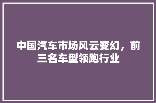 中国汽车市场风云变幻，前三名车型领跑行业