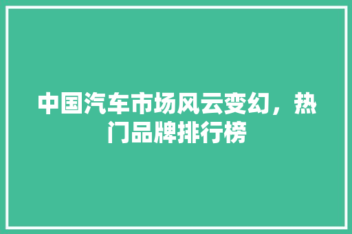 中国汽车市场风云变幻，热门品牌排行榜