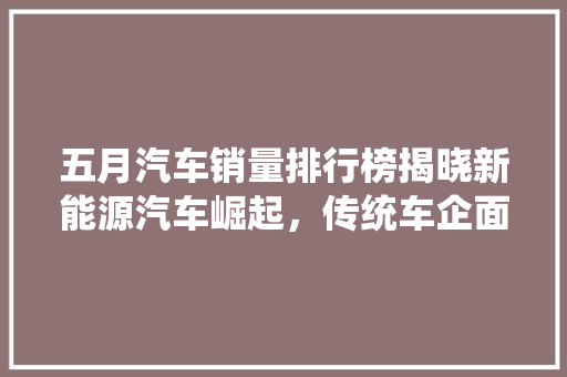 五月汽车销量排行榜揭晓新能源汽车崛起，传统车企面临挑战
