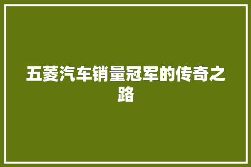 五菱汽车销量冠军的传奇之路