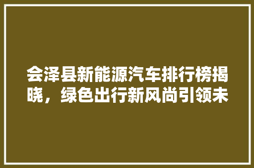 会泽县新能源汽车排行榜揭晓，绿色出行新风尚引领未来