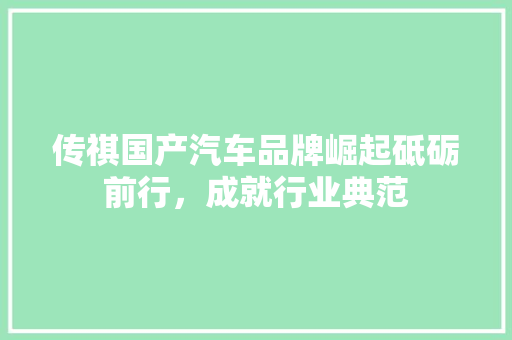 传祺国产汽车品牌崛起砥砺前行，成就行业典范