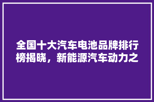 全国十大汽车电池品牌排行榜揭晓，新能源汽车动力之源