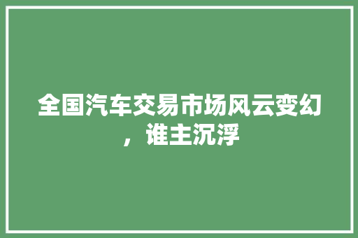 全国汽车交易市场风云变幻，谁主沉浮