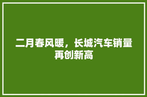 二月春风暖，长城汽车销量再创新高