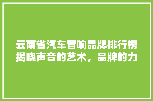 云南省汽车音响品牌排行榜揭晓声音的艺术，品牌的力量