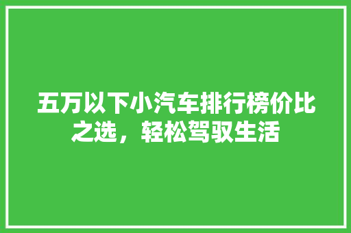 五万以下小汽车排行榜价比之选，轻松驾驭生活