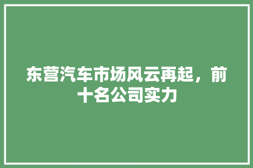 东营汽车市场风云再起，前十名公司实力