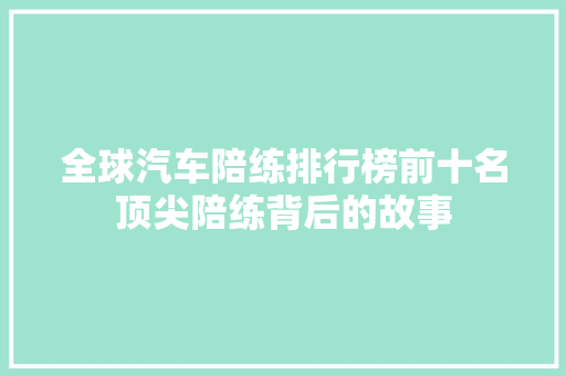 全球汽车陪练排行榜前十名顶尖陪练背后的故事