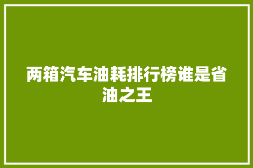 两箱汽车油耗排行榜谁是省油之王