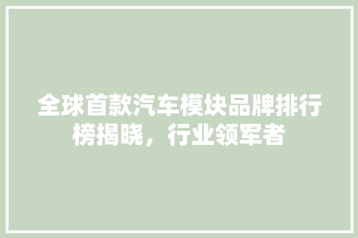全球首款汽车模块品牌排行榜揭晓，行业领军者