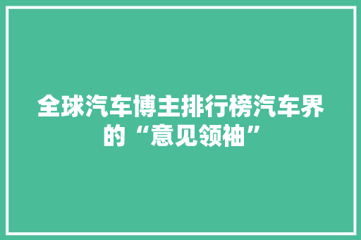 全球汽车博主排行榜汽车界的“意见领袖”