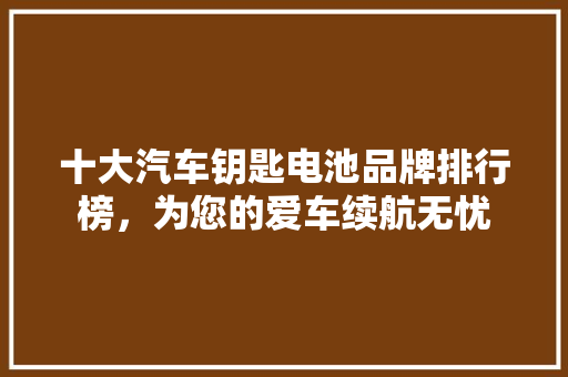 十大汽车钥匙电池品牌排行榜，为您的爱车续航无忧