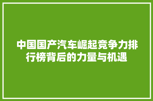 中国国产汽车崛起竞争力排行榜背后的力量与机遇  第1张