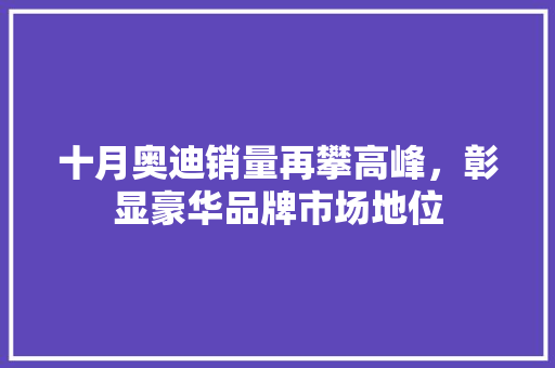 十月奥迪销量再攀高峰，彰显豪华品牌市场地位