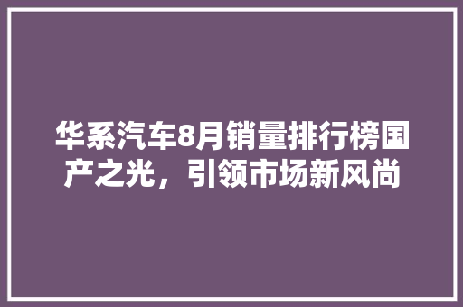 华系汽车8月销量排行榜国产之光，引领市场新风尚