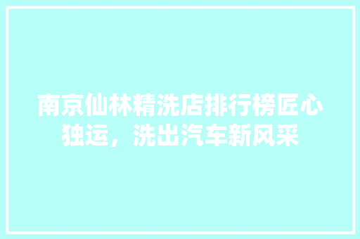 南京仙林精洗店排行榜匠心独运，洗出汽车新风采