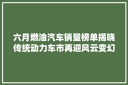 六月燃油汽车销量榜单揭晓传统动力车市再迎风云变幻