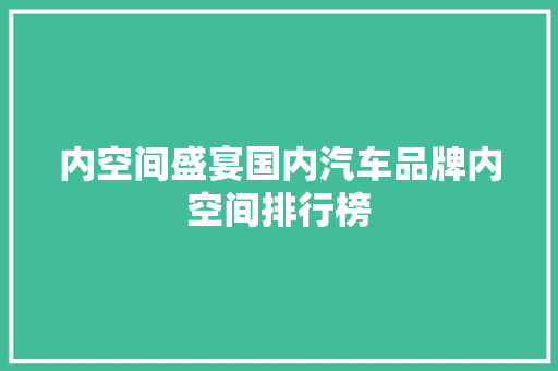 内空间盛宴国内汽车品牌内空间排行榜