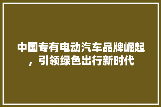 中国专有电动汽车品牌崛起，引领绿色出行新时代  第1张
