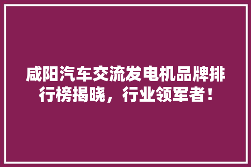 咸阳汽车交流发电机品牌排行榜揭晓，行业领军者！