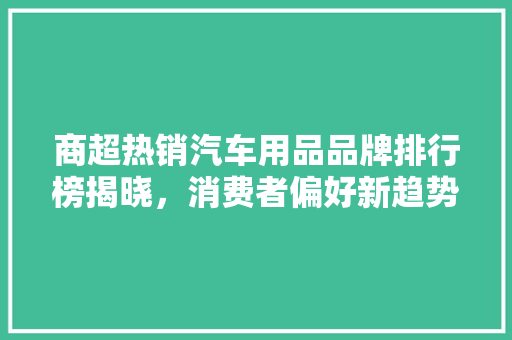 商超热销汽车用品品牌排行榜揭晓，消费者偏好新趋势