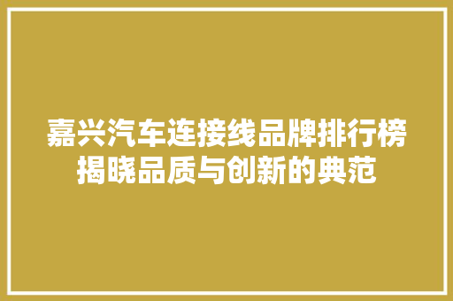 嘉兴汽车连接线品牌排行榜揭晓品质与创新的典范  第1张