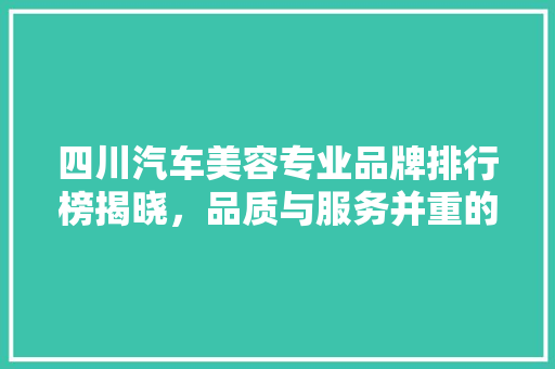 四川汽车美容专业品牌排行榜揭晓，品质与服务并重的行业标杆  第1张