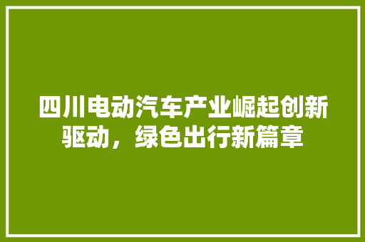 四川电动汽车产业崛起创新驱动，绿色出行新篇章