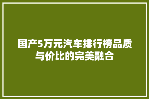 国产5万元汽车排行榜品质与价比的完美融合  第1张