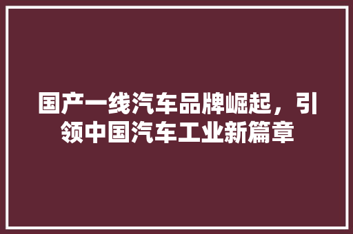 国产一线汽车品牌崛起，引领中国汽车工业新篇章  第1张
