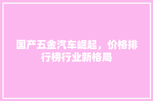 国产五金汽车崛起，价格排行榜行业新格局  第1张